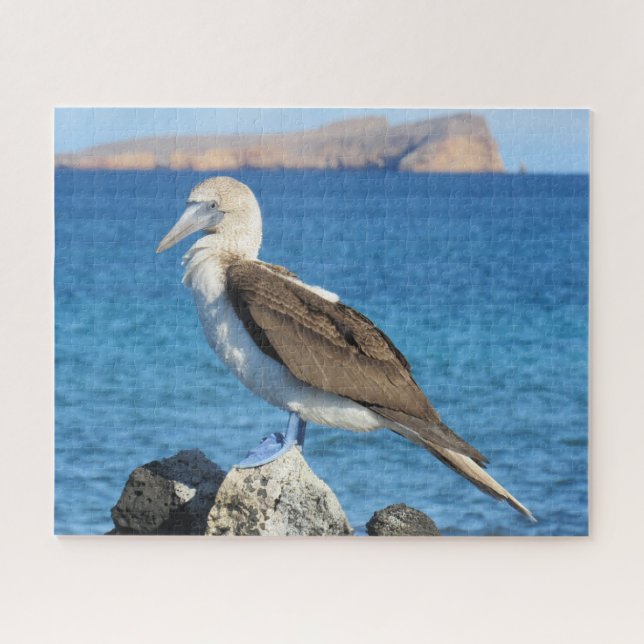 Puzzle pied bleu (Horizontal)