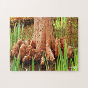 Puzzle Pieds Baldaquin Cypress