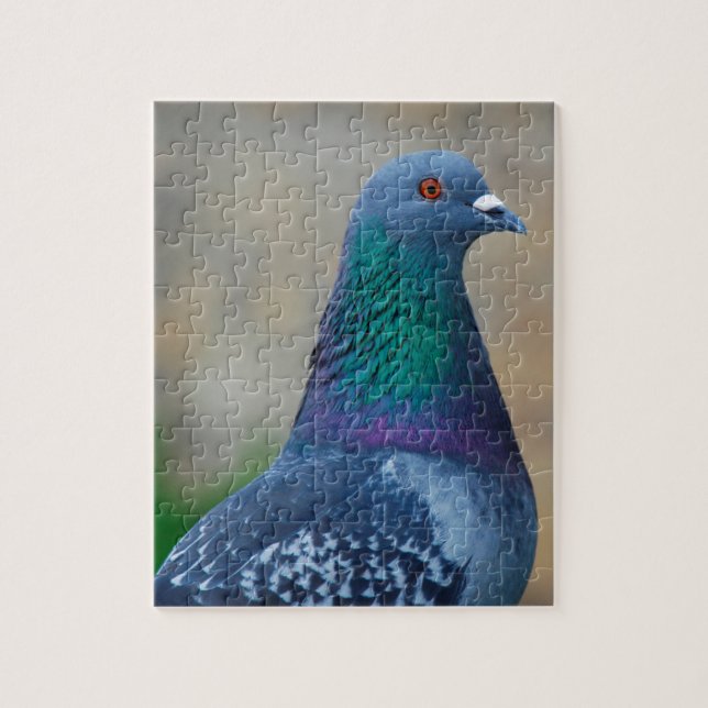 Puzzle Pigeon (Vertical)