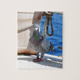 Puzzle Pigeon voyageur
