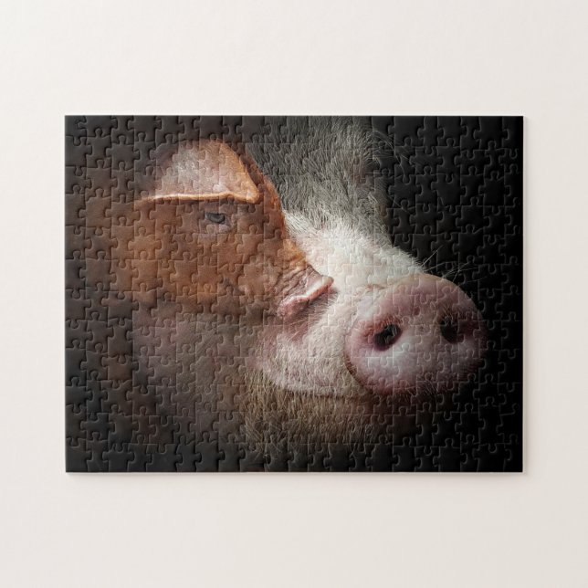 Puzzle Piggies affectueuses Animaux de ferme Photographie (Horizontal)