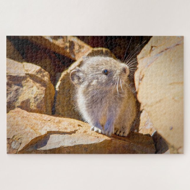 Puzzle Pika (Horizontal)