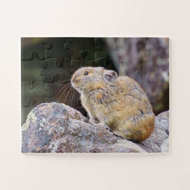 Puzzle Pika (Horizontal)