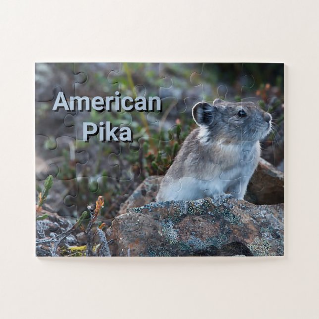 Puzzle Pika Américain Caché dans les Roches (Horizontal)