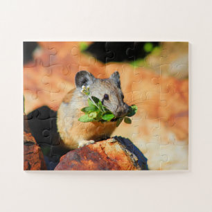 Puzzle Pika Cheval Sur Plantes