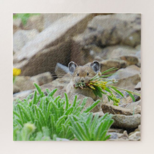 Puzzle Pika Tenant Des Feuilles Et Des Fleurs Dans La Bou (Horizontal)