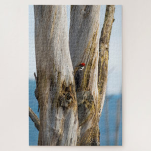 Puzzle Pileated Woodpecker