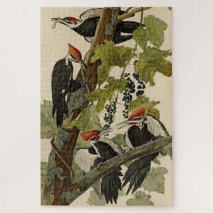 Puzzle Pileated Woodpecker from Audubon Birds of America