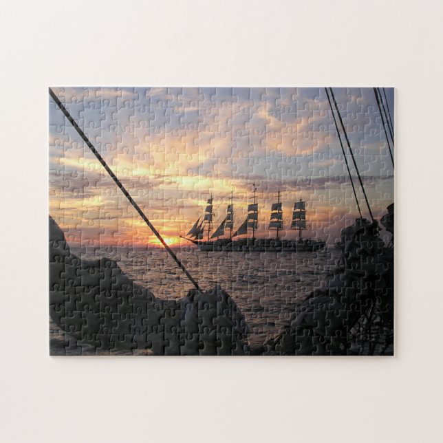 Puzzle Pince Royale Silhouetté Contre Le Coucher Du Solei (Horizontal)