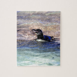 Puzzle Pingouin des Galapagos