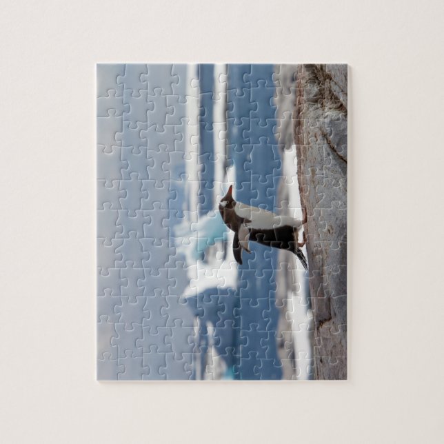 Puzzle Pingouin devant une arche de glace (Vertical)