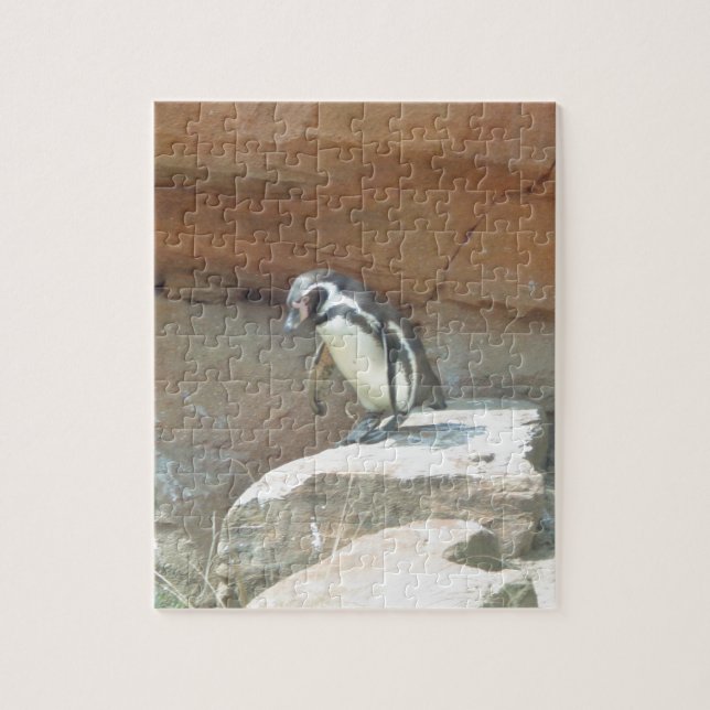 Puzzle Pingouin, Faune, Animal, Oiseau sauvage, Zoo, Été (Vertical)