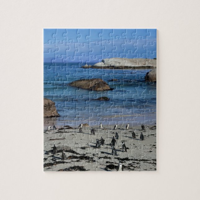 Puzzle Pingouins africains à la plage de rochers, à Cape (Vertical)