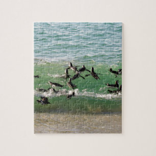 Puzzle Pingouins africains nageant à la plage