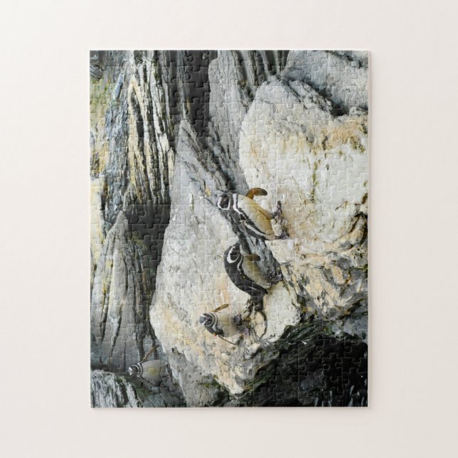 Puzzle Pingouins Humboldt. (Vertical)