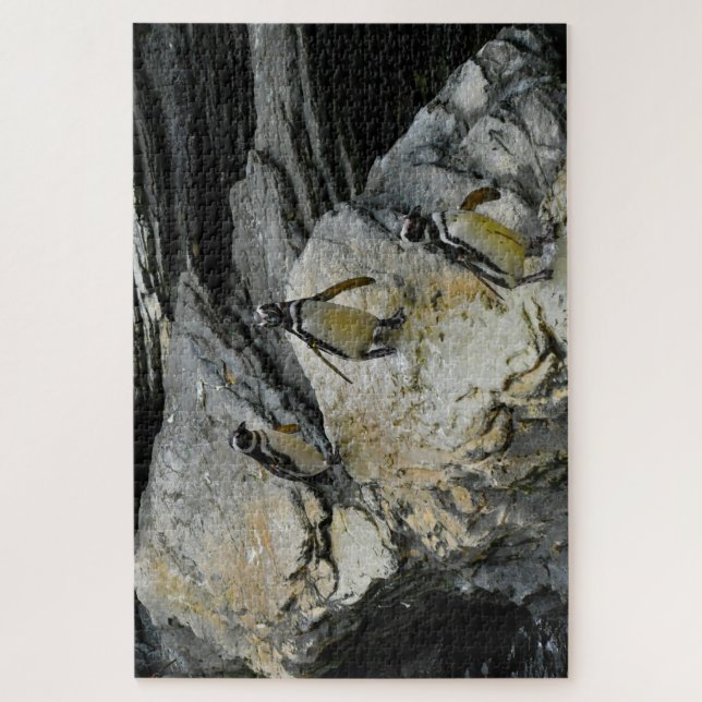 Puzzle Pingouins Humboldt. (Vertical)