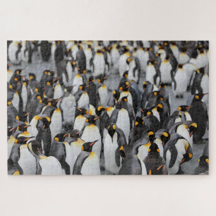 Puzzle Pingouins sur la glace