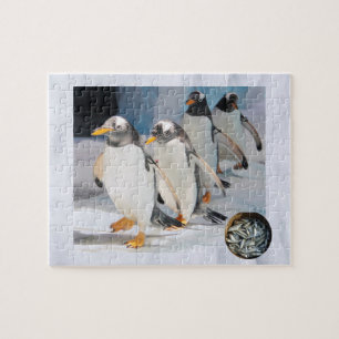 Puzzle Pingouins sur la glace au zoo, âge 6, Sardines Poi