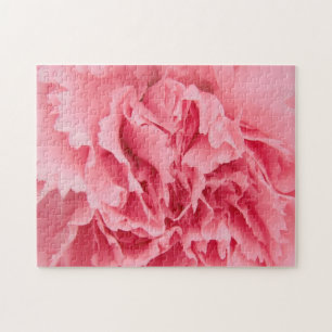 Puzzle Pink Carnation Close Up