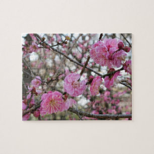Puzzle Pink Cherry Blossom / Sakura / サクラ(桜)