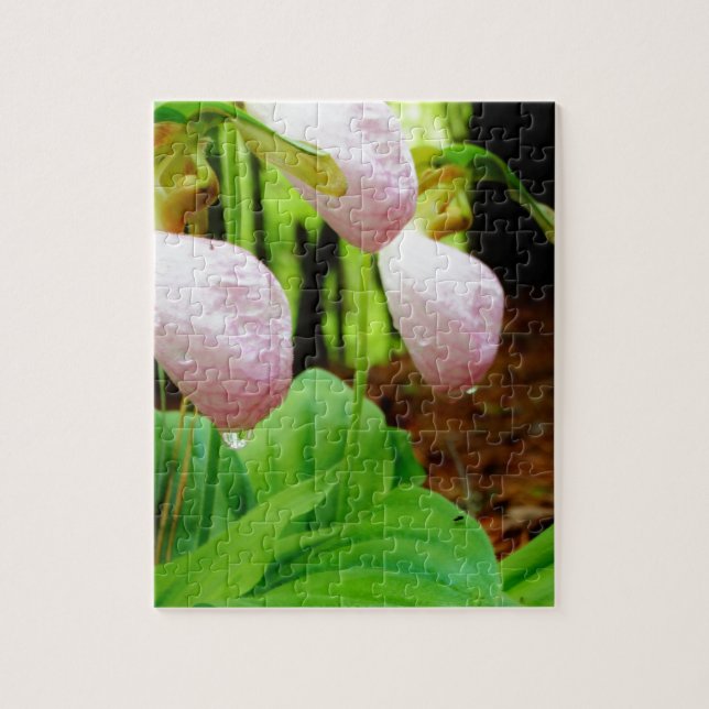 Puzzle Pink Lady Slipper sauvage orchidée (Vertical)