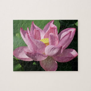 Puzzle Pink Lotus Flower IV