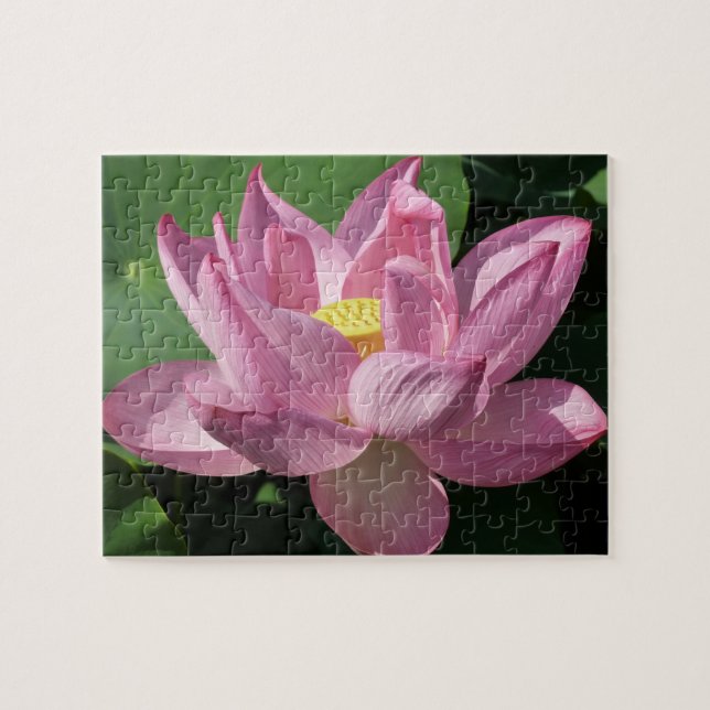 Puzzle Pink Lotus Flower IV (Horizontal)