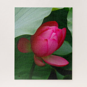 Puzzle Pink Water Lily contre les Feuilles