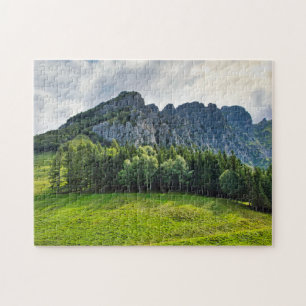 Puzzle Pins de montagne italien forêt & verdure meyer
