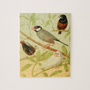 Puzzle pinson et moineau vintage
