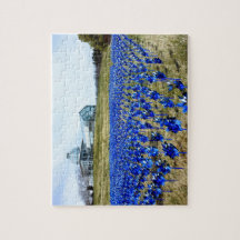 Pinwheel Garden LGBG Richmond VA