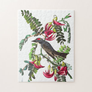 Puzzle Piping Flycatcher par John James Audubon