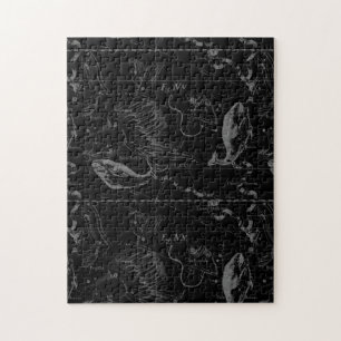 Puzzle Pisces Constellation Map par Hevelius 1690