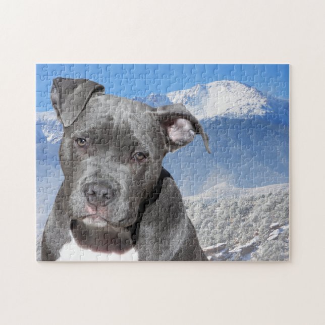 Puzzle Pitbull Terrier. (Horizontal)