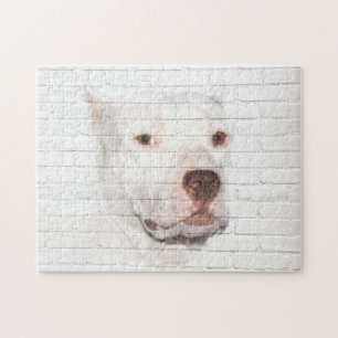 Puzzle Pitbull Terrier blanc