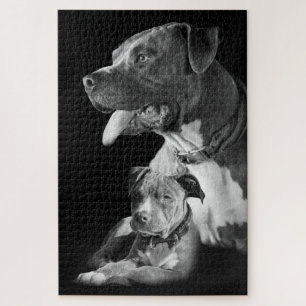 Puzzle Pitbulles