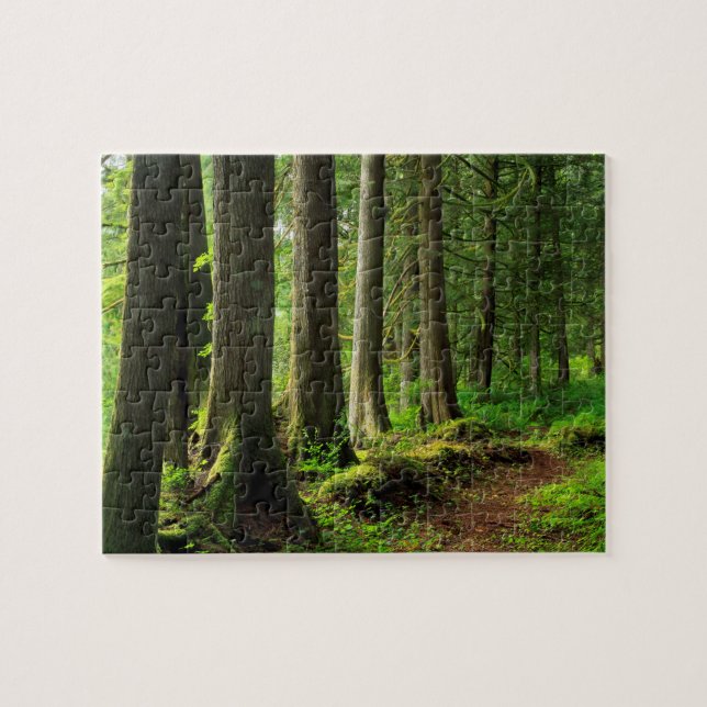 Puzzle Pittoresque Green Forest Trail (Horizontal)