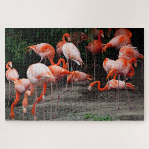 Puzzle Pittoresque paysage tropical Flamant rose Jigsaw P