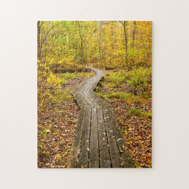 Puzzle Pittoresque promenade d'automne dans les bois Natu (Vertical)