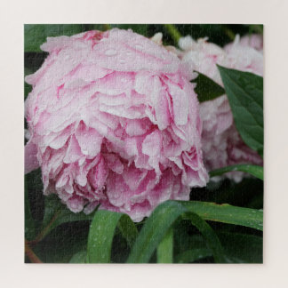 Puzzle Pivoine rose