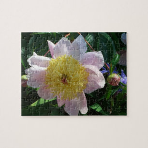 Puzzle Pivoines roses et jaunes Belle flore