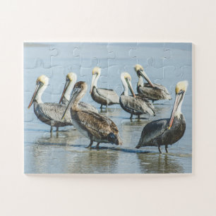 Puzzle Plage de Pelicans Bird Nature Surdimensionnée