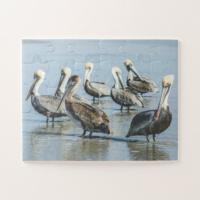 Puzzle Plage de Pelicans Bird Nature Surdimensionnée (Horizontal)