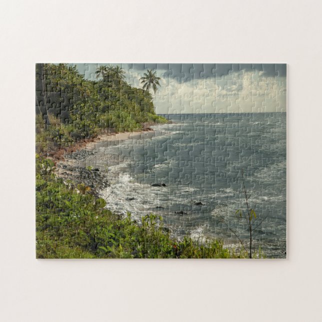 Puzzle Plage Sable Océan Nature Paradis tropical (Horizontal)