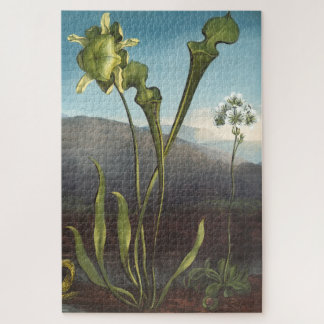 Puzzle Plante carnivore