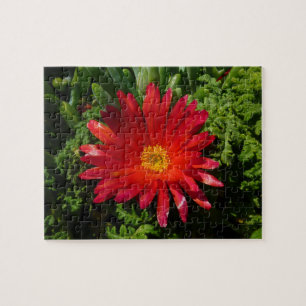 Puzzle Plante de moquette couleur rouge à fleur de glace