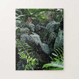 Puzzle Plante tropical