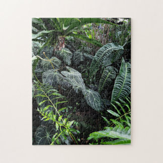 Puzzle Plante tropical