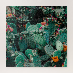 Puzzle Plantes de cactus
