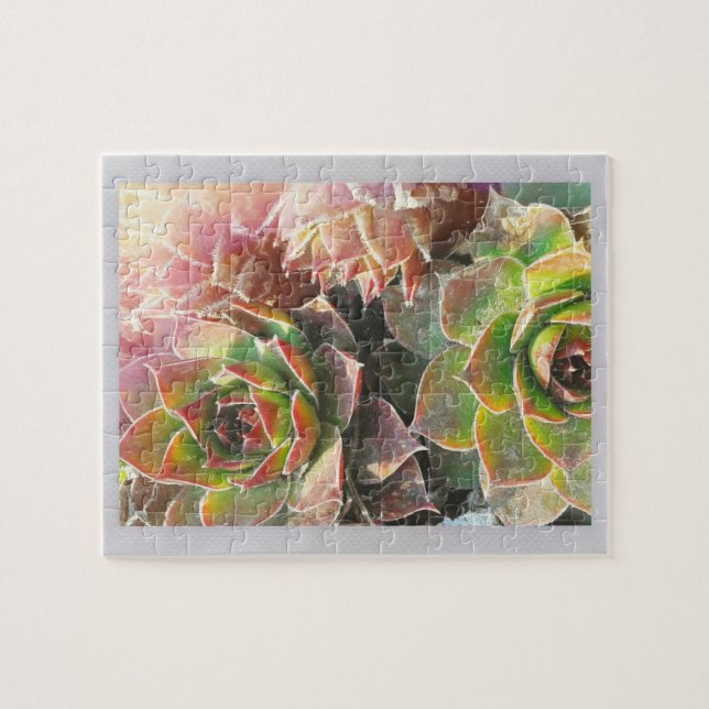 Puzzle Plantes de poules et poulets (Horizontal)